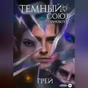 Постер книги Темный Союз