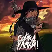 Постер книги Сойка, улетай!