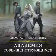 Постер книги Академия совершенствующихся