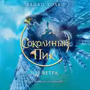 Постер книги Соколиный пик. Зов ветра