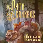 Постер книги Пути Волхвов