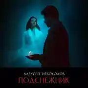 Постер книги Подснежник