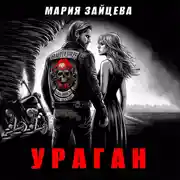 Постер книги Ураган