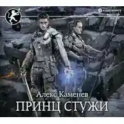 Постер книги Принц стужи