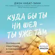Постер книги Куда бы ты ни шел - ты уже там. Осознанная медитация в повседневной жизни