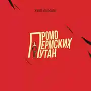 Постер книги Промо пермских путан