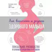Постер книги Как выносить и родить здорового малыша. Понедельное руководство по беременности и родам прямо из уст акушерки