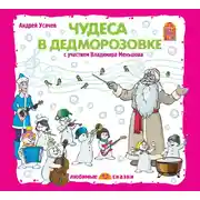 Постер книги Чудеса в Дедморозовке