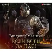 Постер книги Если боги за нас!