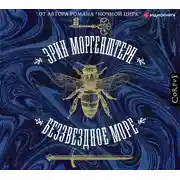 Постер книги Беззвездное море