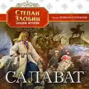 Постер книги Салават
