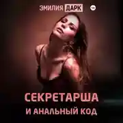 Постер книги Секретарша и анальный код