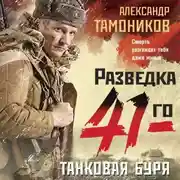 Постер книги Танковая буря