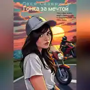Постер книги Гонка за мечтой