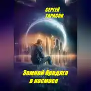 Постер книги Земной бродяга в космосе