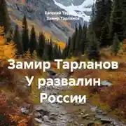 Постер книги У развалин России