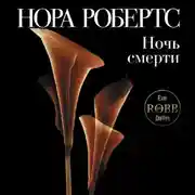 Постер книги Ночь смерти