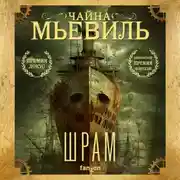 Постер книги Шрам