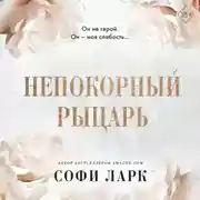 Постер книги Непокорный рыцарь