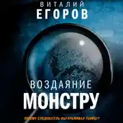 Постер книги Воздаяние монстру