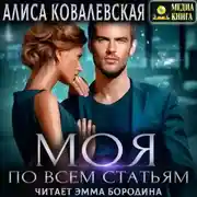 Постер книги Моя по всем статьям