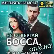 Постер книги Не отвергай босса, опасно!
