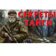 Постер книги СЕКРЕТЫ ТАЙГИ, БРОШЕННЫЙ СОВЕТСКИЙ БУНКЕР.