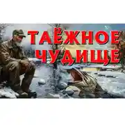 Постер книги ТАЁЖНОЕ ЧУДО