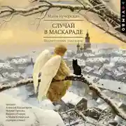Постер книги Случай в маскараде