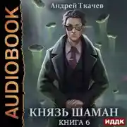 Постер книги Князь шаман. Книга 6