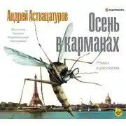 Постер книги Осень в карманах