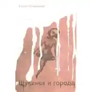 Постер книги Щукинск и города