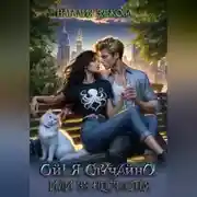 Постер книги Ой! Я случайно! Или тридцать три несчастья