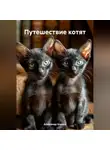Александр Блинов - Путешествие котят.