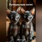 Постер книги Путешествие котят.