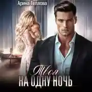 Постер книги Твоя на одну ночь
