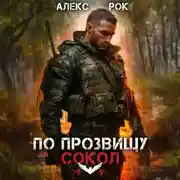 Постер книги По прозвищу «Сокол». Том 1