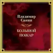 Постер книги Большой пожар