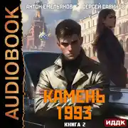 Постер книги Камень 1993. Книга 2