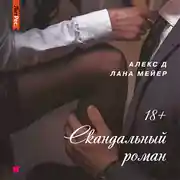 Постер книги Скандальный роман