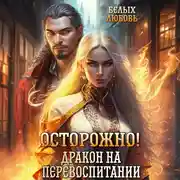 Постер книги Осторожно! Дракон на перевоспитании