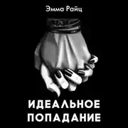 Постер книги Идеальное попадание