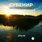 Постер книги Сувенир