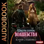 Постер книги Шесть соток волшебства