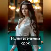 Постер книги Испытательный срок