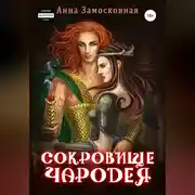 Постер книги Сокровище чародея