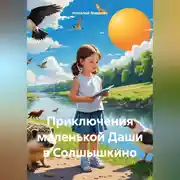 Постер книги Приключения маленькой Даши в Солшышкино