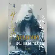 Постер книги Академия волшебства. Элин