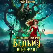 Постер книги Не буди во мне Ведьму, Некромант!