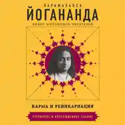 Постер книги Карма и реинкарнация